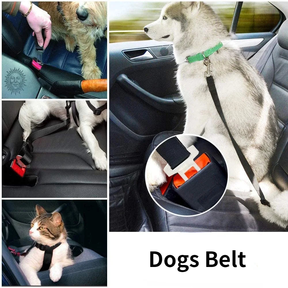 SafeDogCar - Sicherheitsgurt für Ihr Haustier im Auto